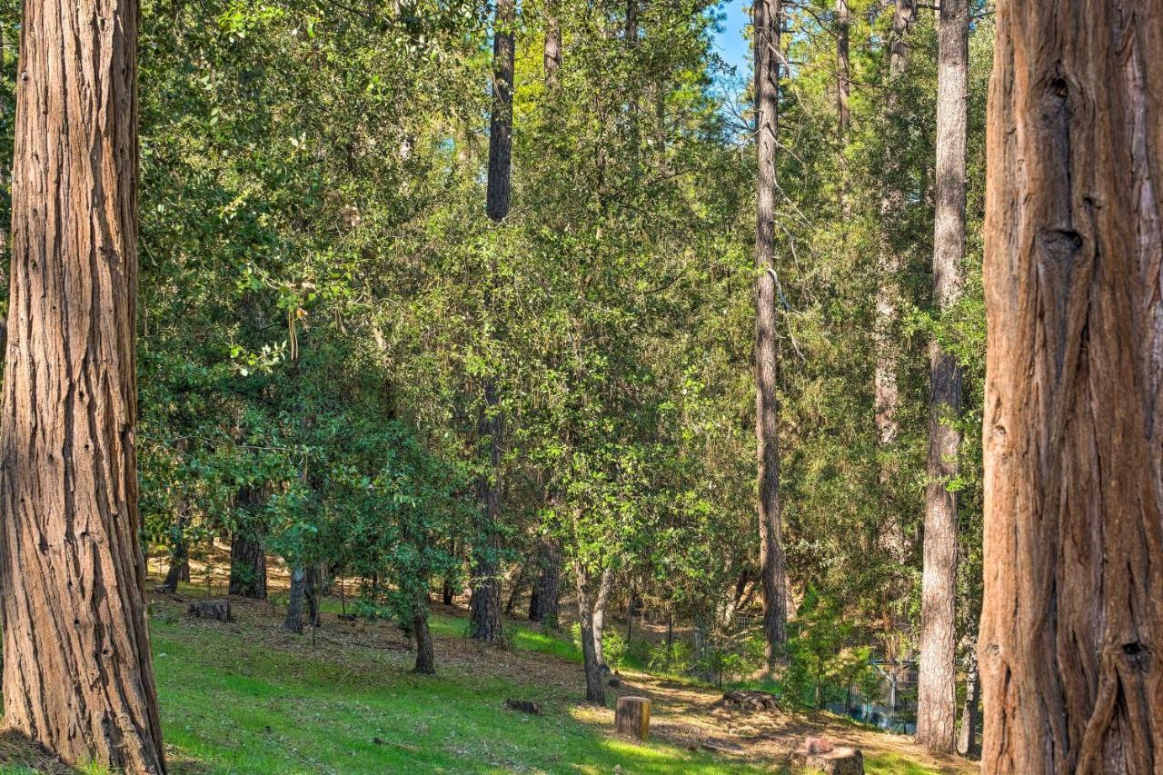 Convenient Apt With Fire Pit About Half-Mi To Lake! Groveland Exteriör bild